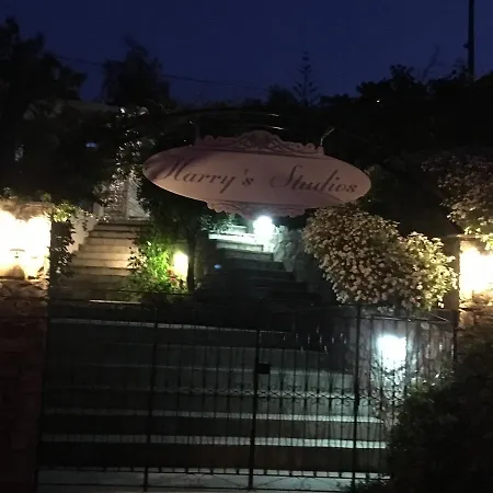 Harry's